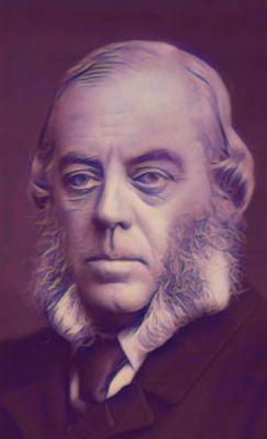 Photo of Steve M.