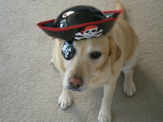 photo of Jennifer N.