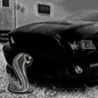 Photo of Blaze J.
