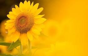 Photo of MzPeachez H.