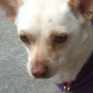 Photo of Julee H.