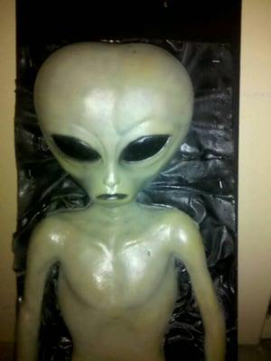 photo of Alexander B.