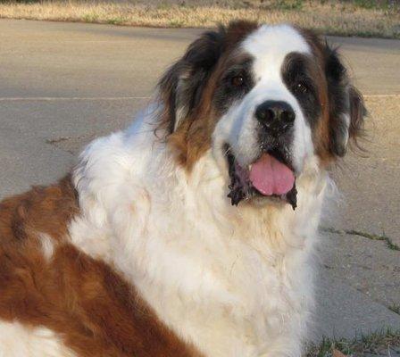 photo of Christopher D.