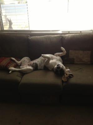 photo of Petrolia H.