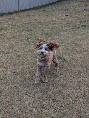 Photo of Yedidyah L.