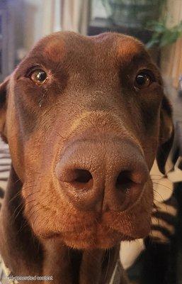 Photo of Michelle H.