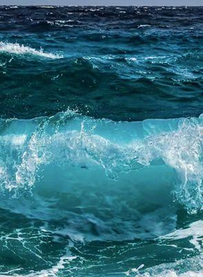 photo of Stephanie D.