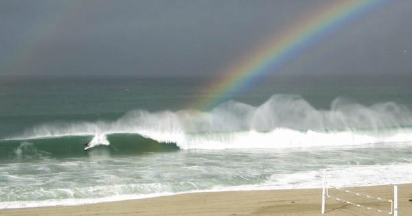 photo of Patrick Shane D.