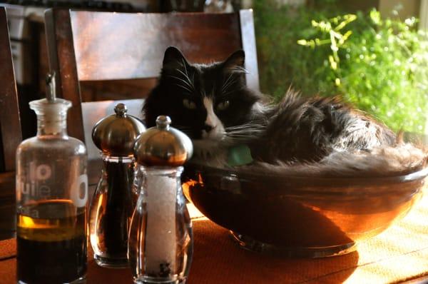 Photo of Bibs F.