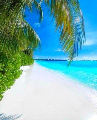 photo of Islander 6.