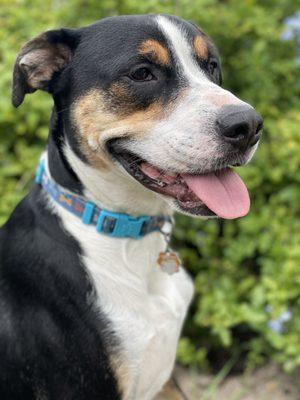 photo of Victoria G.