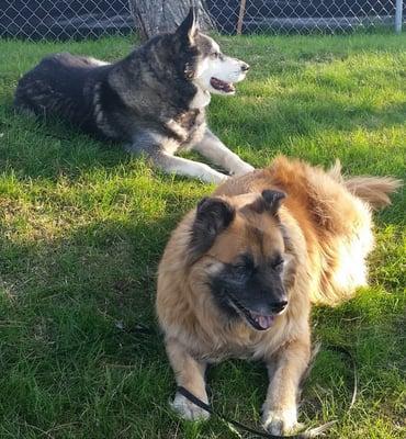 photo of Jennifer B.