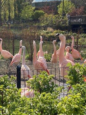 photo of jafareadi A.