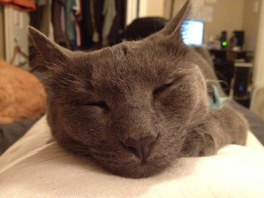 photo of Librarian M.