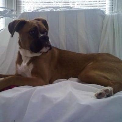 photo of Lydia Hutchings B.