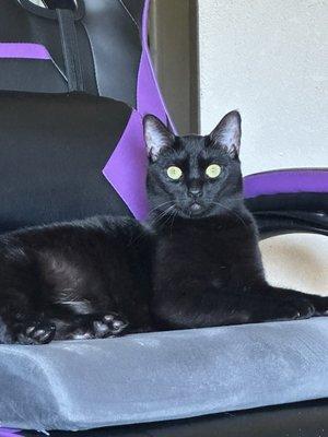 photo of Tzitlaly T.