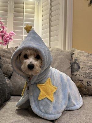 photo of Kristine Nguyen