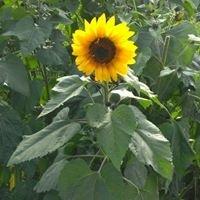 photo of Michelle S.