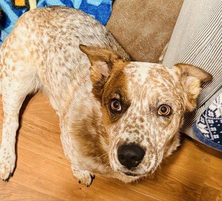 photo of Samantha S.