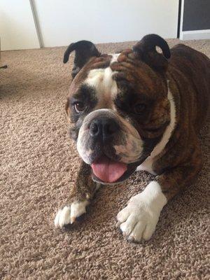 photo of Michelle L.