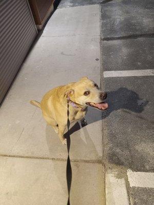 photo of Christopher W.