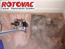 photo of One Touch C.