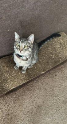 photo of Stephanie M.