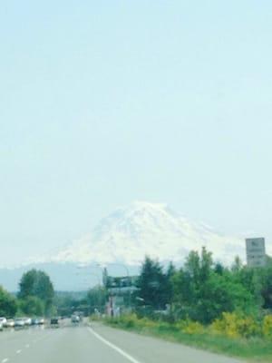 Photo of Laura R.