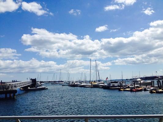 photo of Charlotte C.