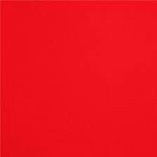 Photo of Rochelle A.