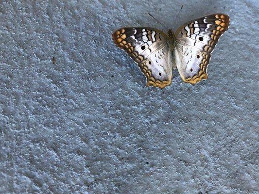 photo of Madeline L.