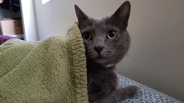 photo of Christina S.