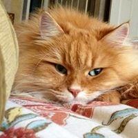 photo of Elizabeth E.