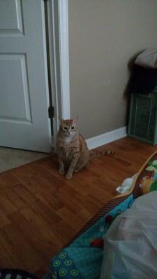 photo of Angelica L.