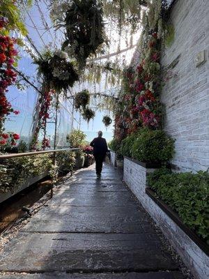 photo of Carolina N.