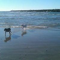 Photo of Tricia G.