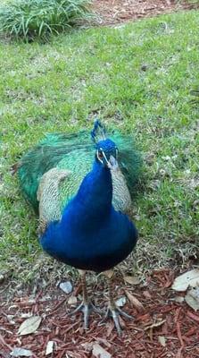 photo of Jennifer T.