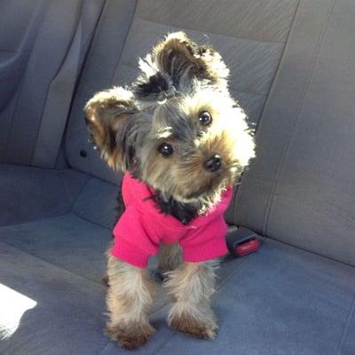 photo of Yassamin A.