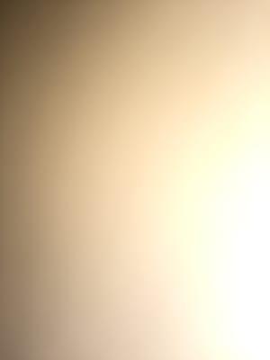 Photo of Dania A.
