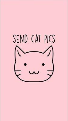 photo of Da1AndOnly 2.