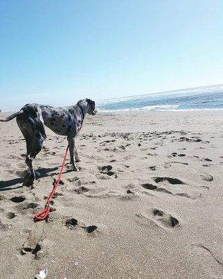 photo of Brittany S.