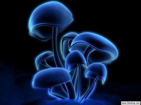 photo of Courtney F.