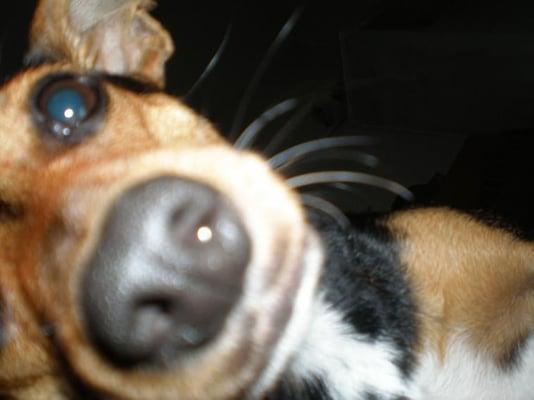 Photo of Jennifer D.