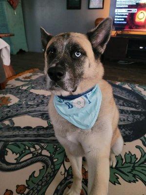 photo of Kaawaloa K.