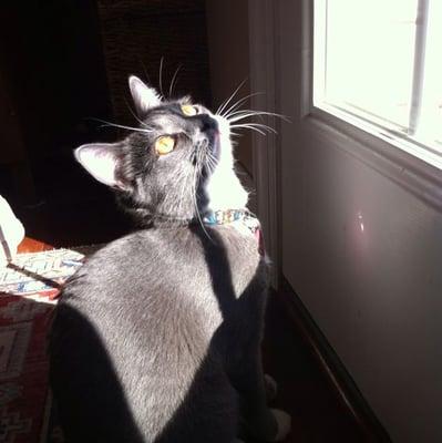 Photo of Kipra N.