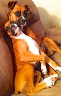 Photo of Kathleen A.