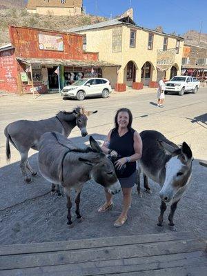Photo of Amy S.