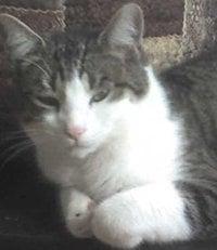 Photo of Keleigh C.