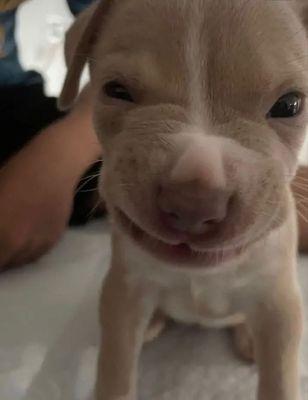 Photo of ѕнυʝιи. α.