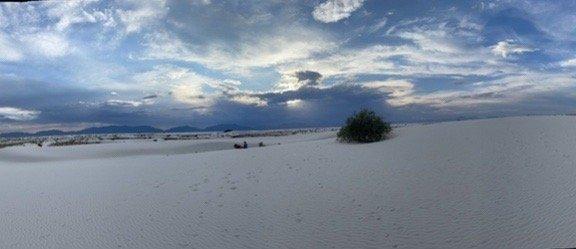 photo of Courtney M.